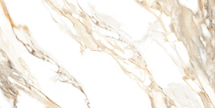 Керамогранит Ceraland Calcatta Paonazzo (60х120) глянец